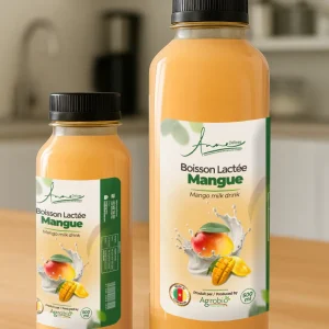 Boisson lactée à la Mangue – 330 ml / 1 Litre