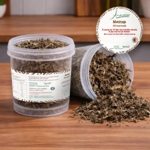 Massep (Basilic Africain)